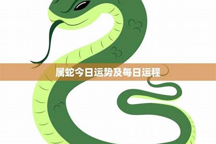 2025属蛇的运势和财运