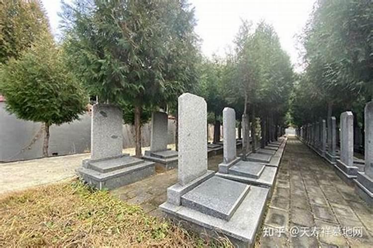 做梦梦到墓地什么预兆 睡觉为什么梦见墓地