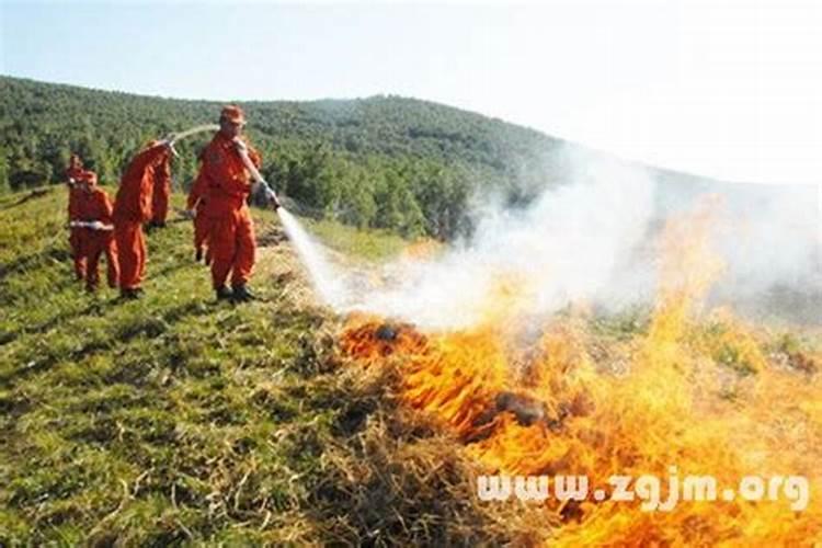 梦见自己用水把火扑灭了的预兆