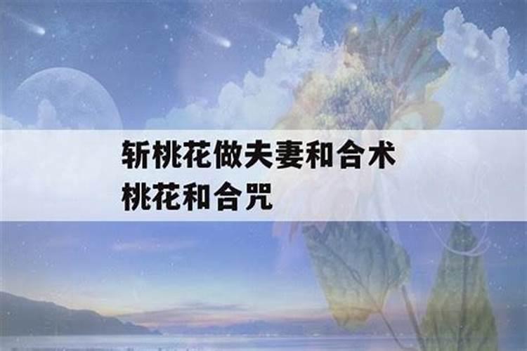 冬至的时候为什么要祭祖
