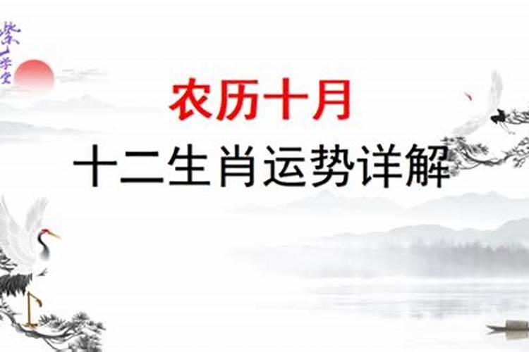 2025年有薪假期是哪几天