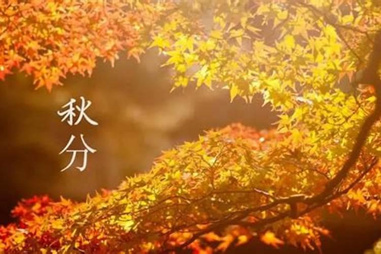 今年秋分是几月几号几点几分2024 秋分气象变化