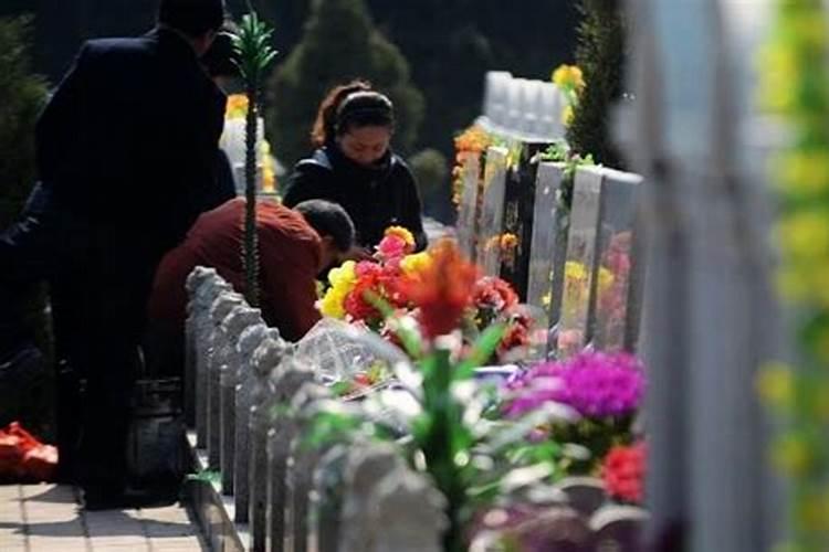 清明节上坟时间
