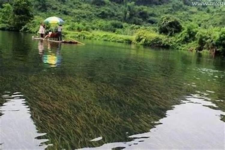 梦见河水是什么预兆 为什么梦见河水