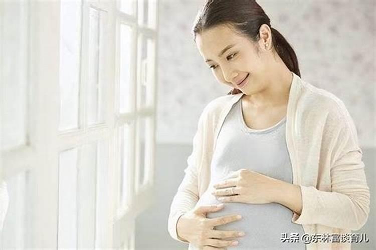 三年级作文:中秋节