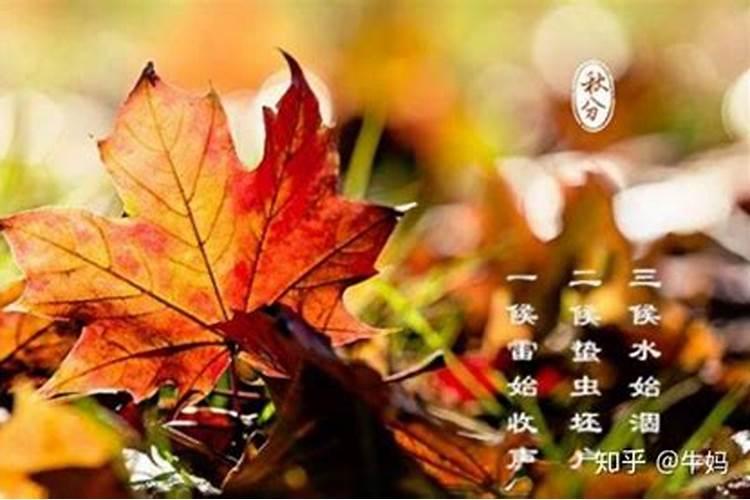 犯太岁的人清明节可以去扫墓吗