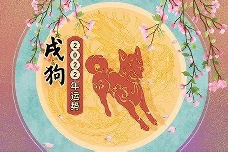 属虎2025年犯太岁怎么化解