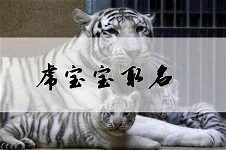 八字时辰怎么推算出来的