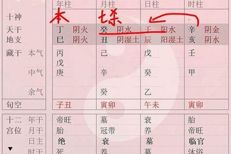 25年属龙的运气和财运如何