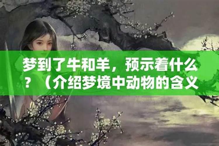 梦到牛是什么预兆周公解梦