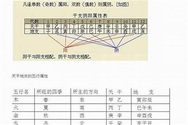 如何排八字四柱的详细方法