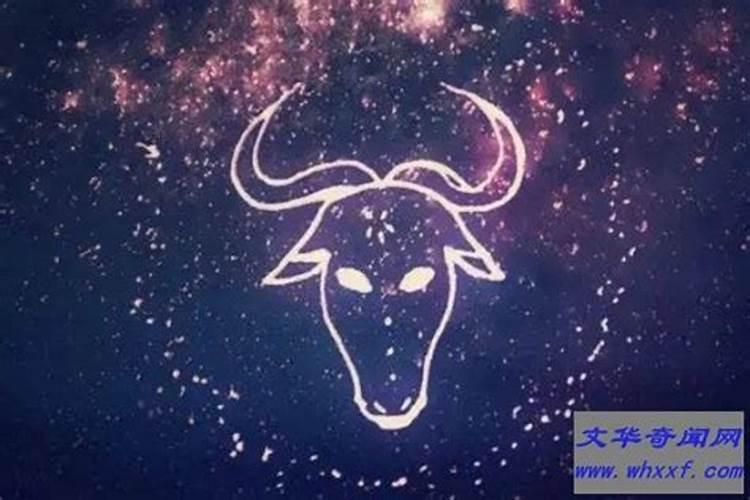 十二星座谁最有杀气