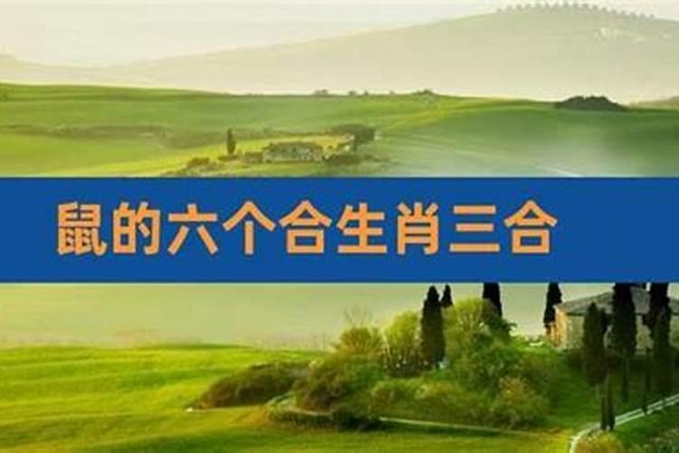 每年传统的清明节是农历三月三日吗