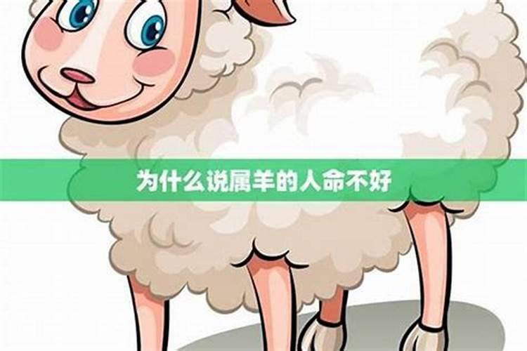2025年犯太岁的生肖马怎么化解 2025年犯太岁的生肖马怎么躲星