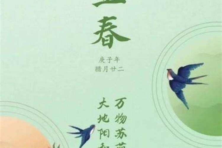 2025双春年是哪天