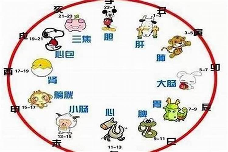 十二时辰表对照表生辰八字