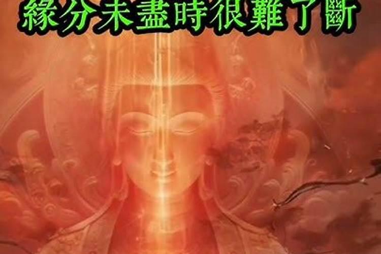 缘聚缘散缘妙华,佛心佛性佛菩提