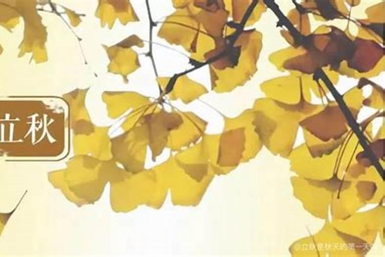 谁知道1995年农历二十四节气的具体的时刻？