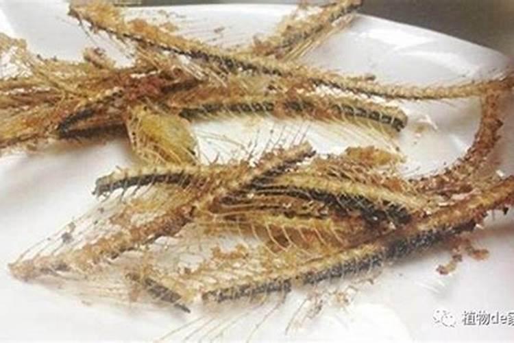 梦见吃了鱼后口吐出很多鱼骨头