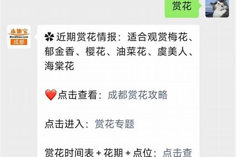 成都清明小长假赏花踏青公园及路线