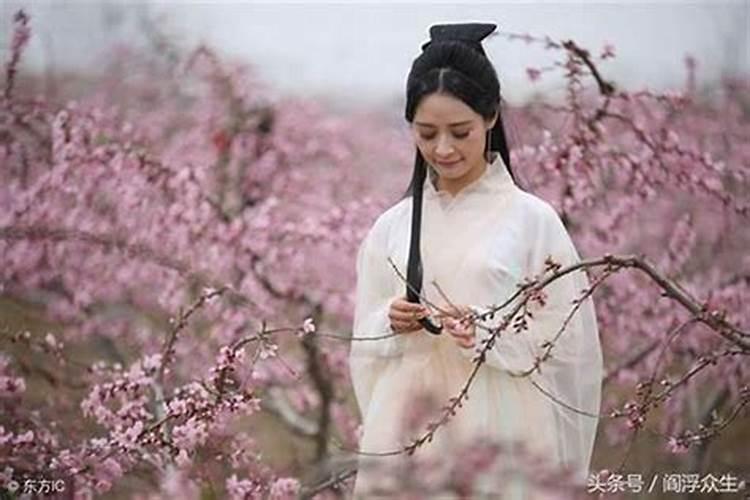 梦见棺材的梦境预兆是什么