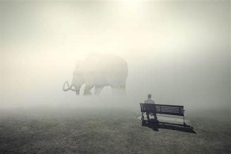 晚上睡觉梦见了死人的尸体会有怎么样的兆头？是好还是坏？