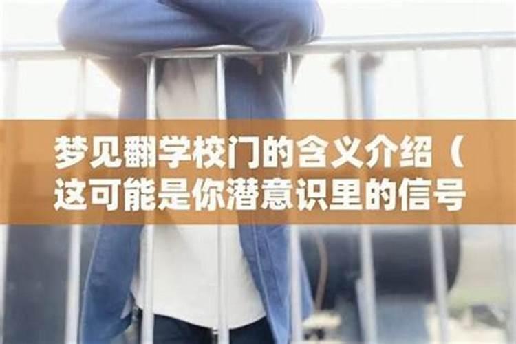 属兔女生于十月命好