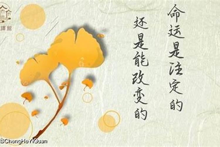 换童子是什么意思