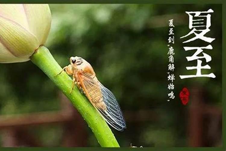 77年属蛇人2024年每月运势