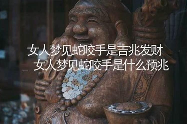 梦见手被蛇咬了是什么意思？