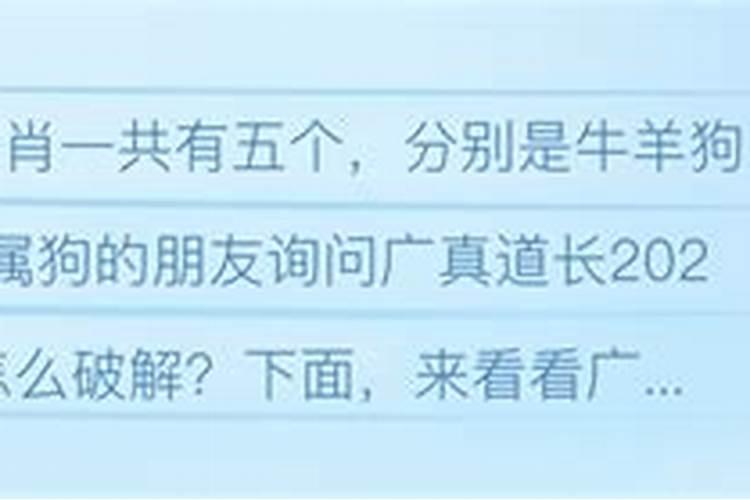 属狗的本命年到底带什么好呢？有人说带兔子