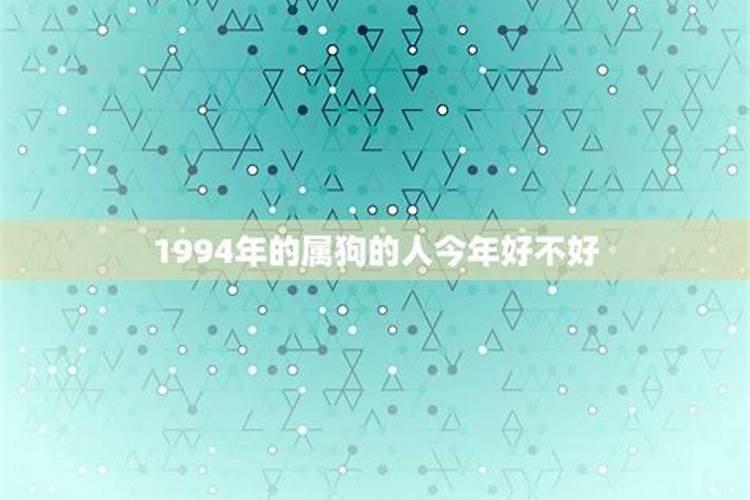 我的前世是什么人