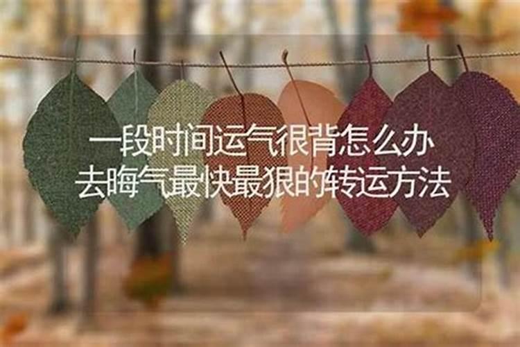 54年属马2025年运势