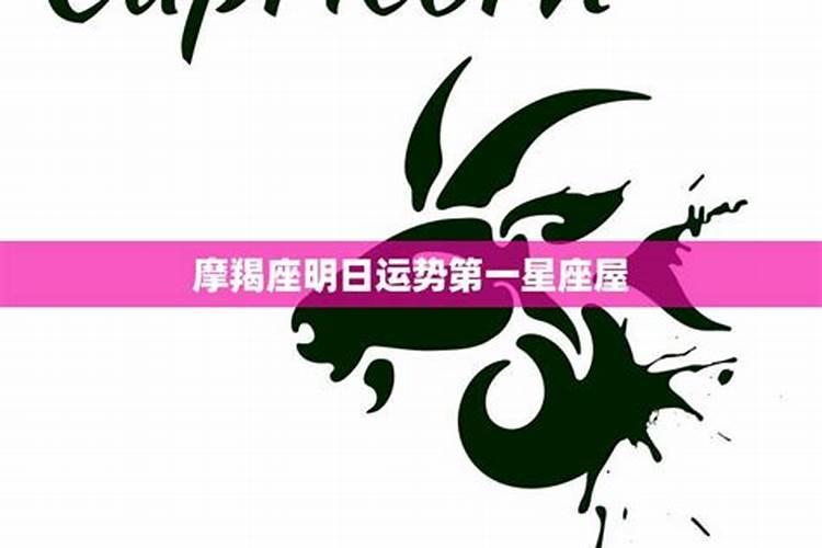 属猪的人出生在亥时中的命运怎样