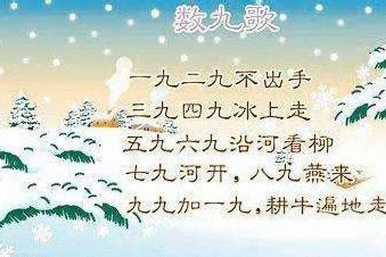 春节是几九的第几天