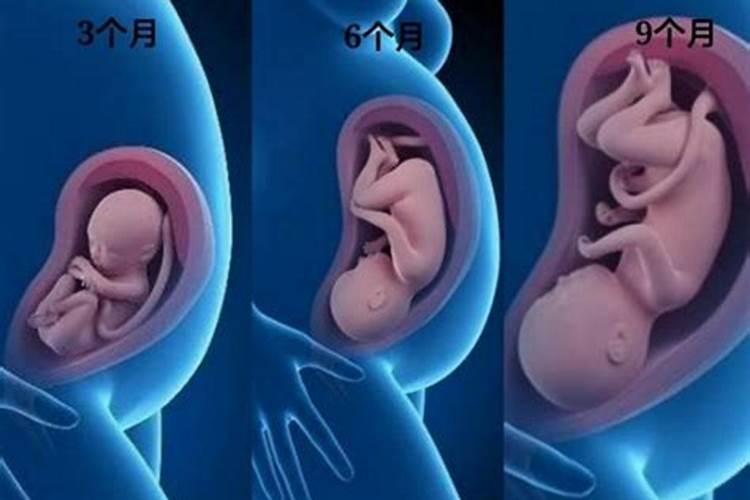 孕妇梦见早产要警惕了