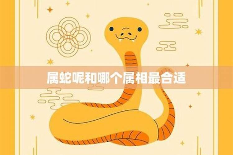 属蛇人最佳婚配对象