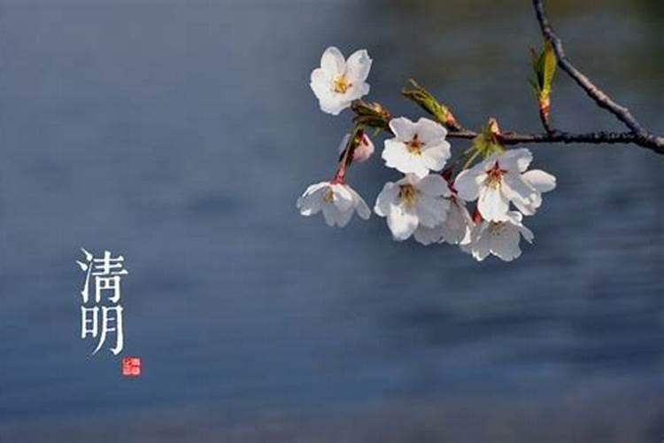 什么星座压制双子座,天秤座最怕什么星座