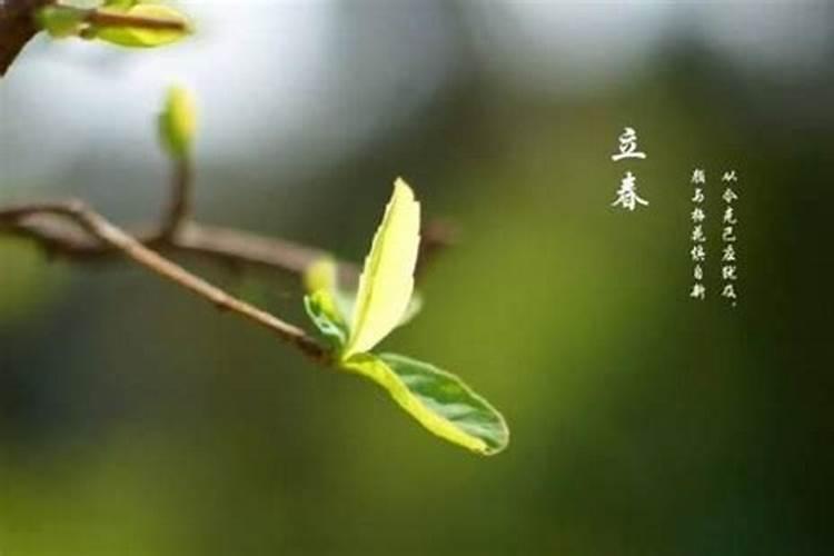 1987年正月初二凌晨2点出生的男性樊兴波的命运总格