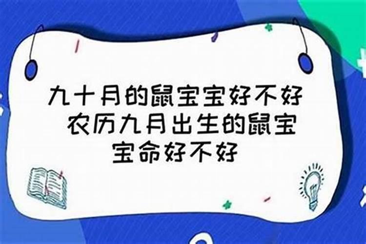 生肖鼠1972年2025年运势如何 生肖鼠1972年2025年全年运势