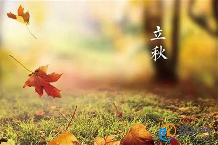 梦见狗狗生了一窝小狗狗是什么意思
