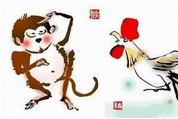 男猴与女猴结婚怎么样 两个92年属猴的结婚好吗