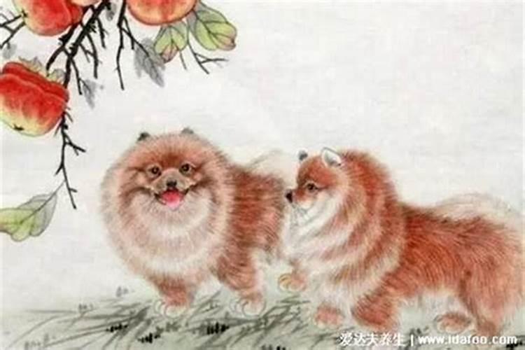 犯太岁真的会倒霉吗 犯太岁要注意什么
