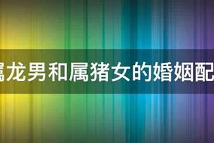 59年男猪和什么属相配,59年男猪与64年女龙婚配吗