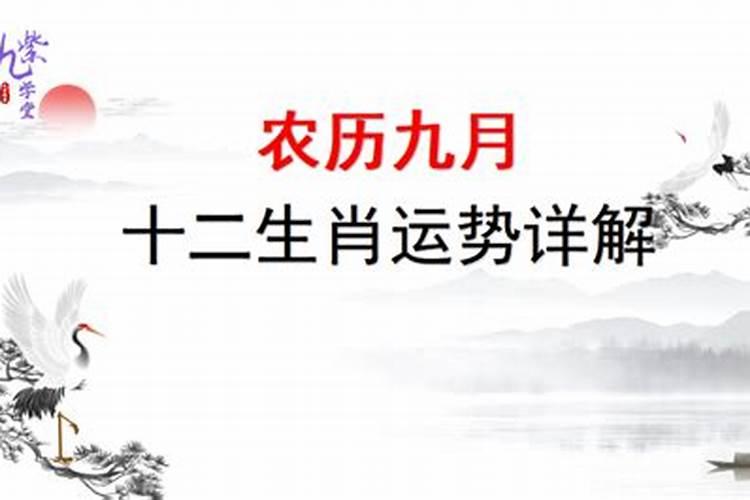 1976年农历九月初九午时出生男命运好吗