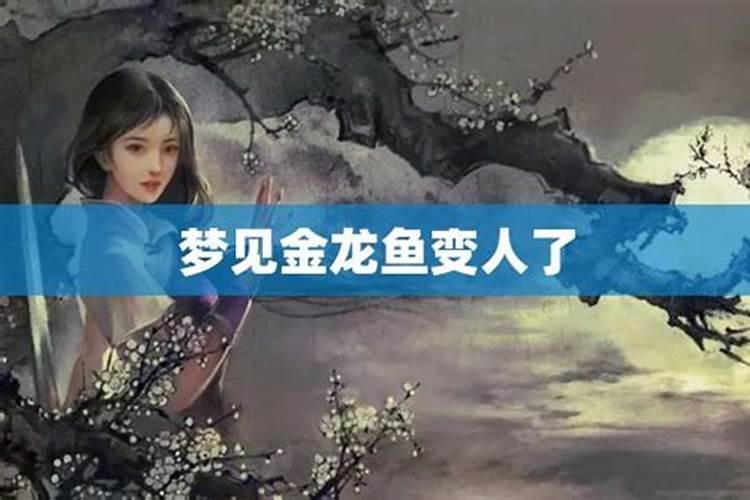梦见金龙在海里遨游