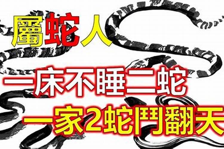 两个属蛇的人结婚好吗 男蛇女蛇婚姻是否相克