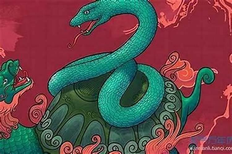 属虎的交运忌什么属相,属虎火命交运