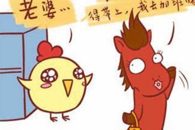 鸡和马属相合不合