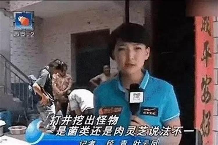 叶云凤多少岁